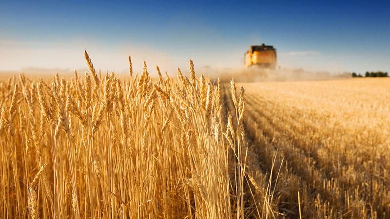 Как изменился украинский аграрный экспорт в 2018 году: интересные данные