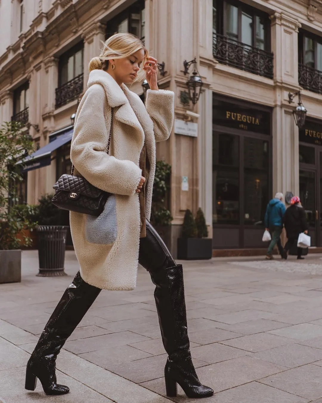 Модель Фріда Аасен Модель Фріда Аасен