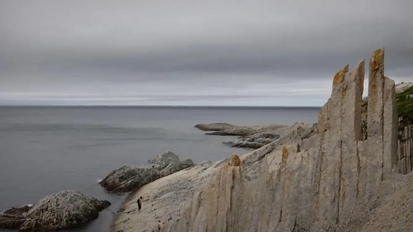 курили курили