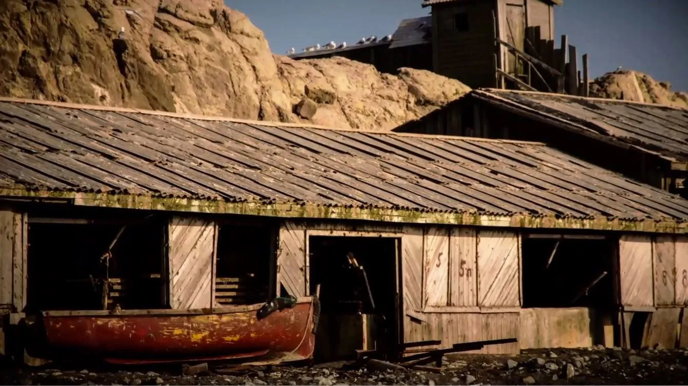 крили крили