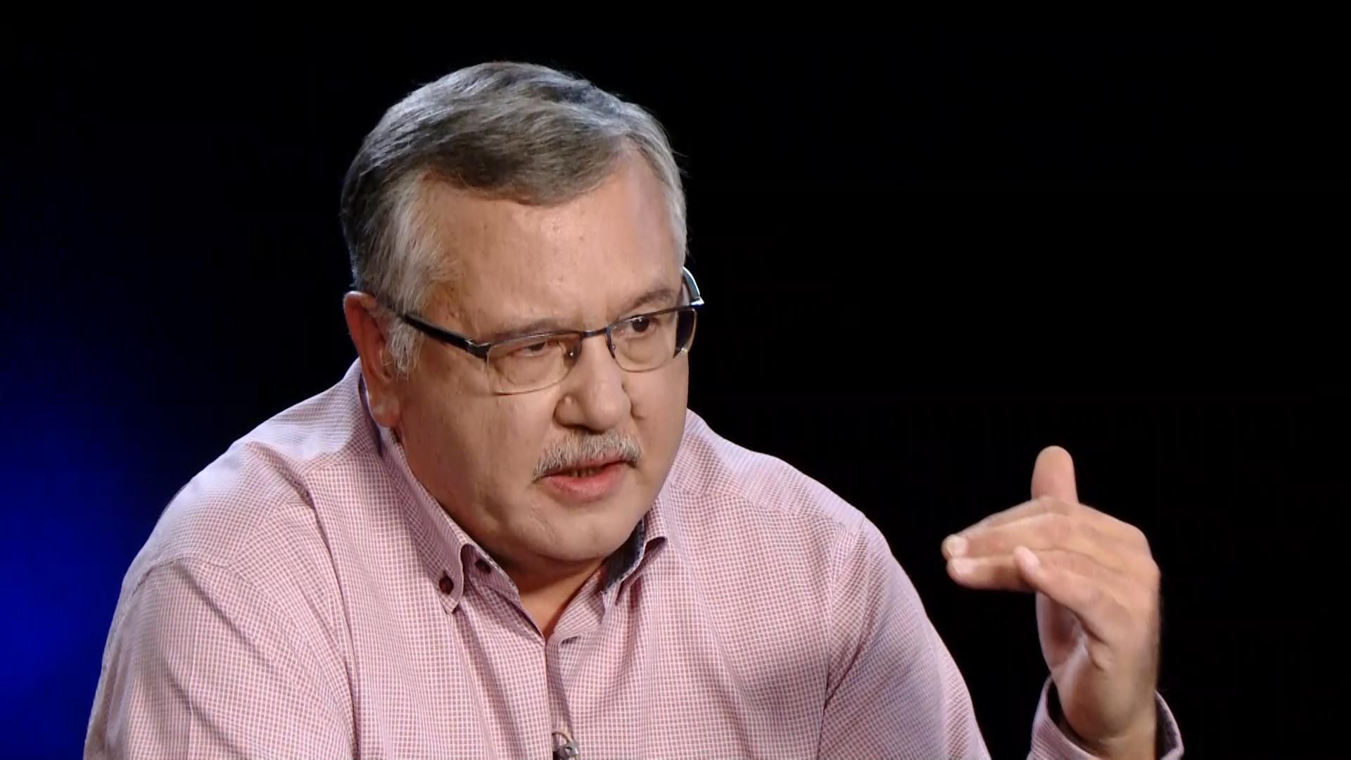 Гриценко показав декларацію: квартири, будинок і земля, записані на дружину