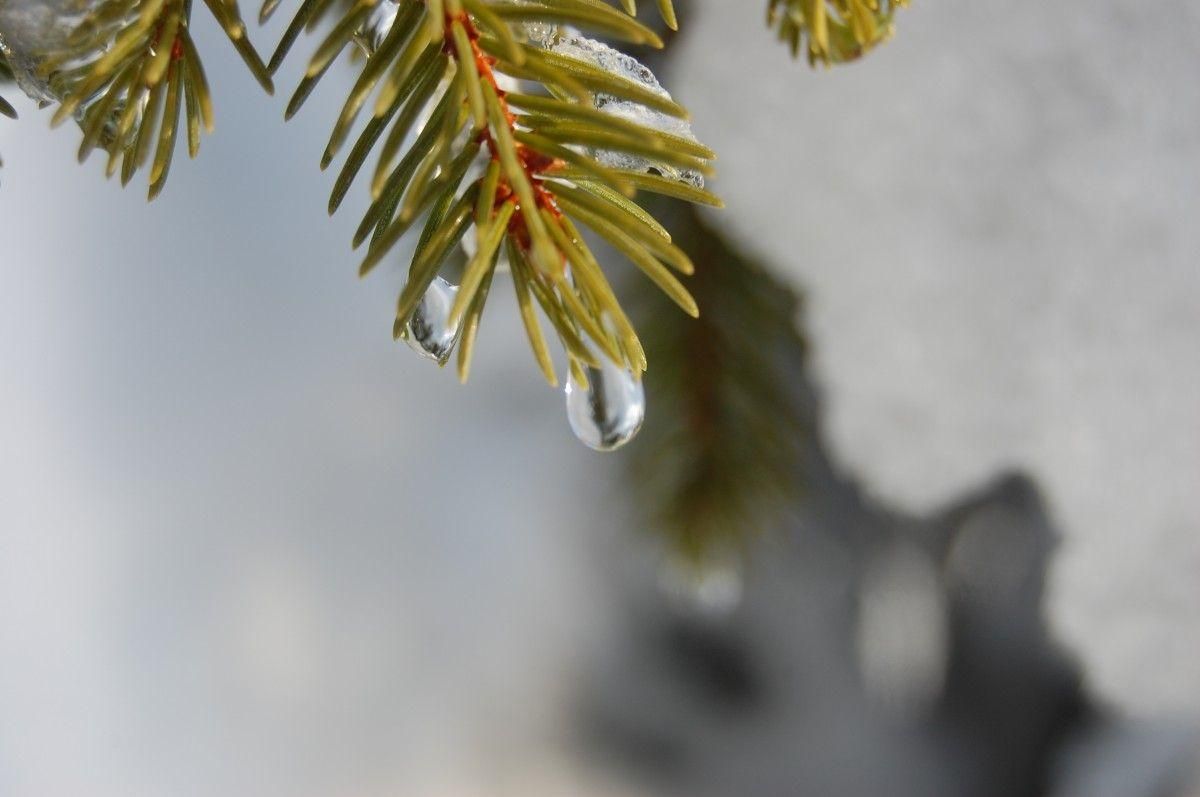 Погода 30 января 2019 Украина - прогноз погоды от синоптика Погода 30 января 2019 Украина - прогноз погоды от синоптика