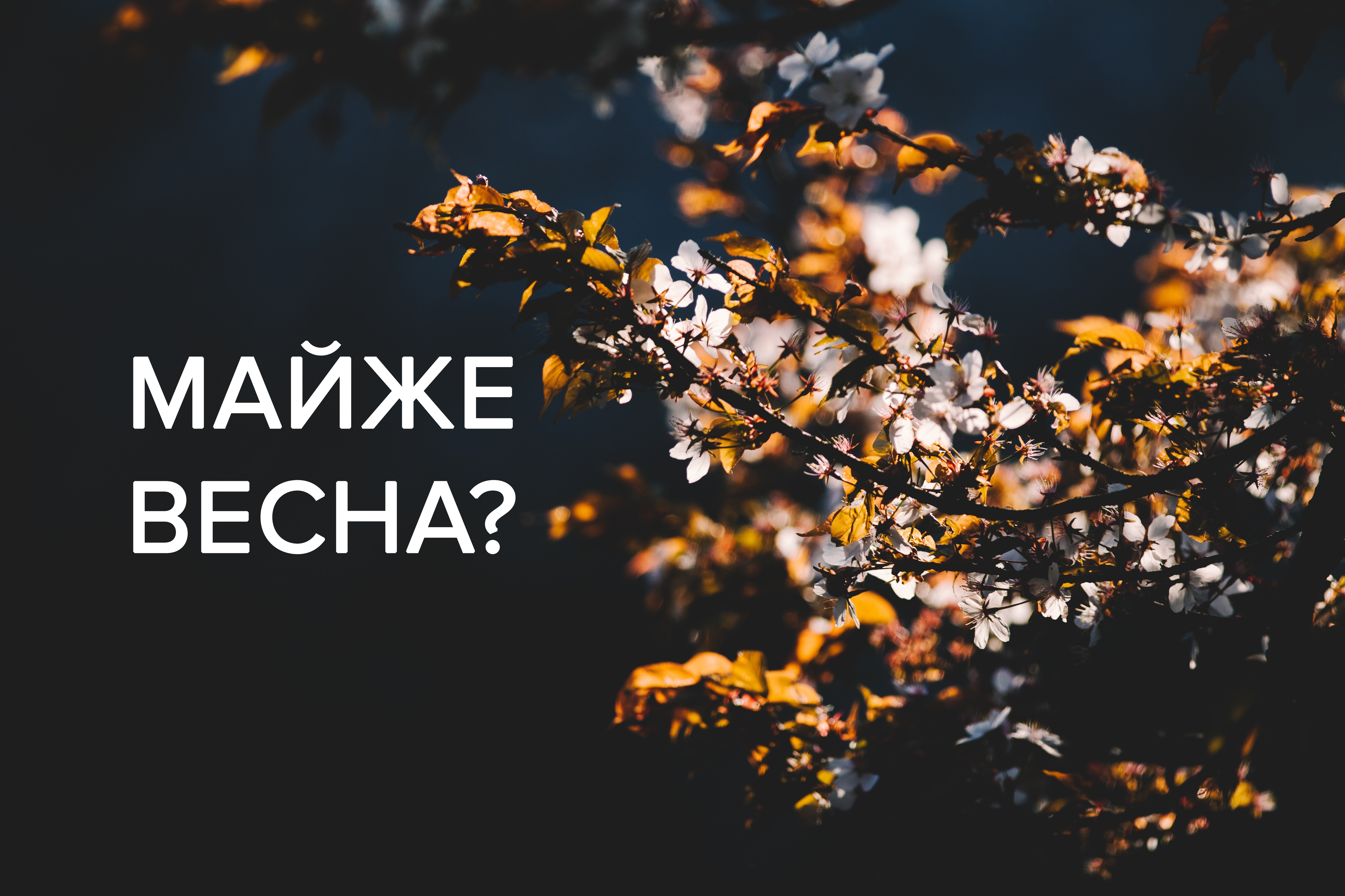 Когда потеплеет в Украине в 2019 - когда будет тепло в 2019 в Украине Когда потеплеет в Украине в 2019 - когда будет тепло в 2019 в Украине