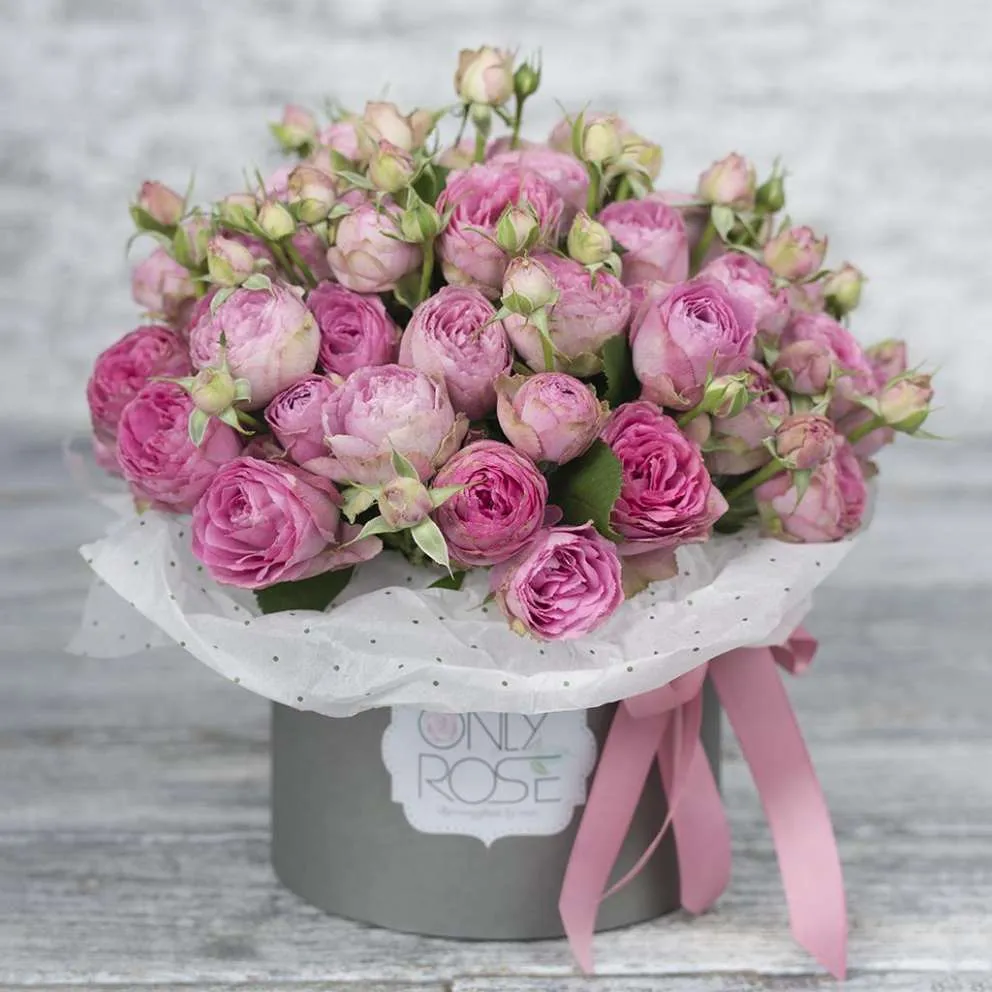 Привітання колезі у прозі Привітання колезі у прозі