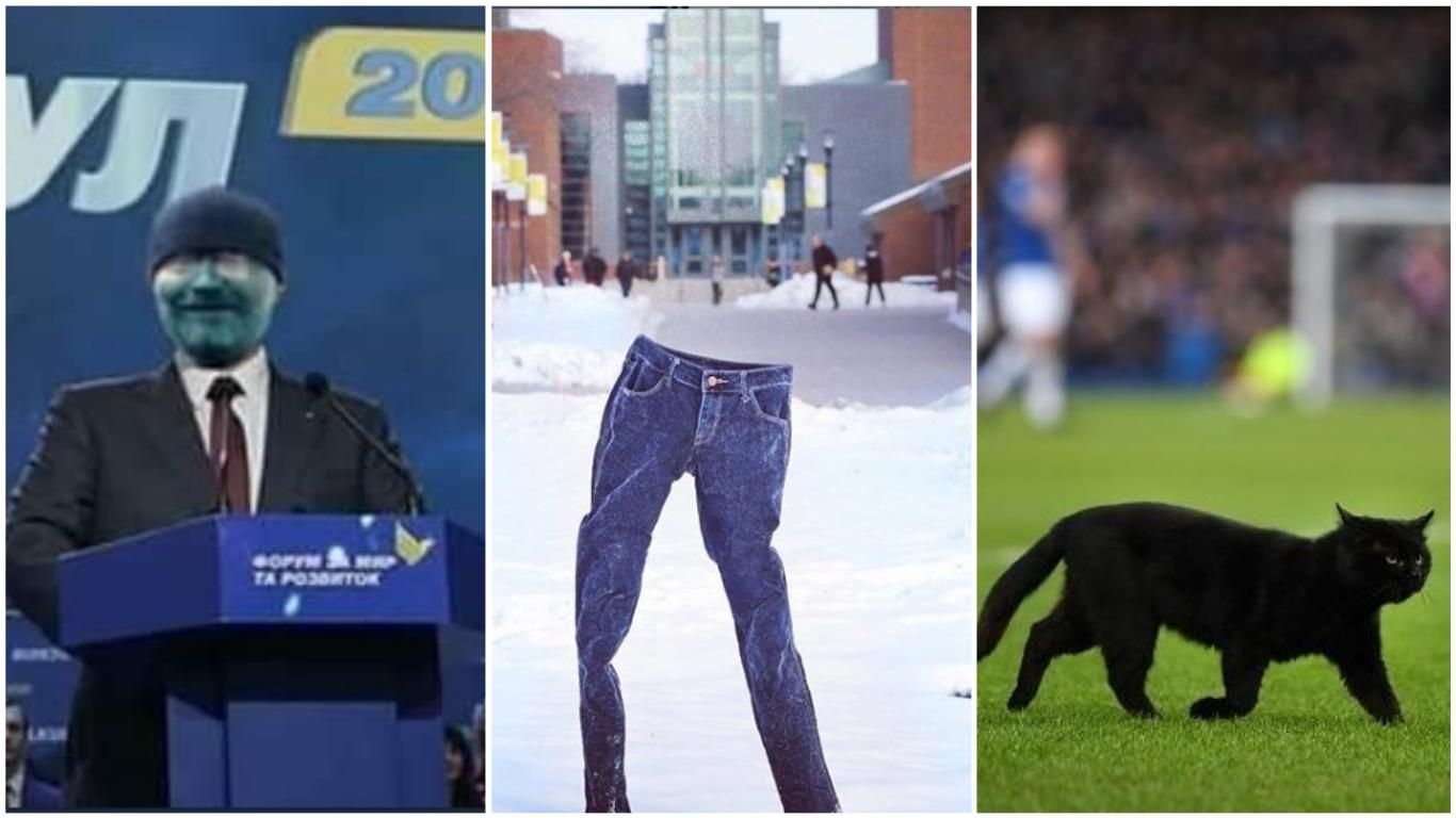 Самые смешные мемы недели: зеленый Вилкул, флешмоб с ледяными штанами и кот-разбойник на футболе