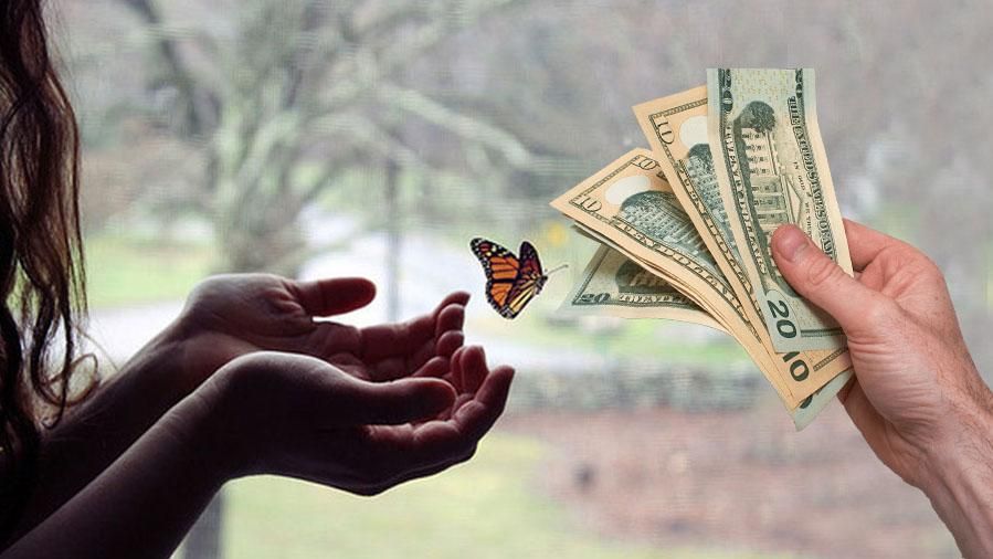 Крадуть мільйонами: як чиновники нахабно наживаються на екології - 4 лютого 2019 - Телеканал новин 24 Крадуть мільйонами: як чиновники нахабно наживаються на екології - 4 лютого 2019 - Телеканал новин 24