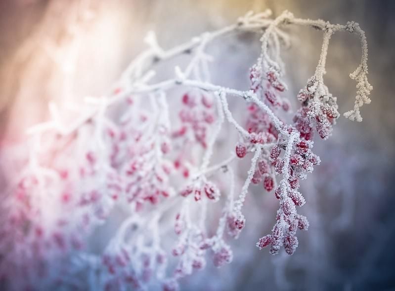 Погода 5 февраля 2019 Украина: какую погоду обещают синоптики Погода 5 февраля 2019 Украина: какую погоду обещают синоптики