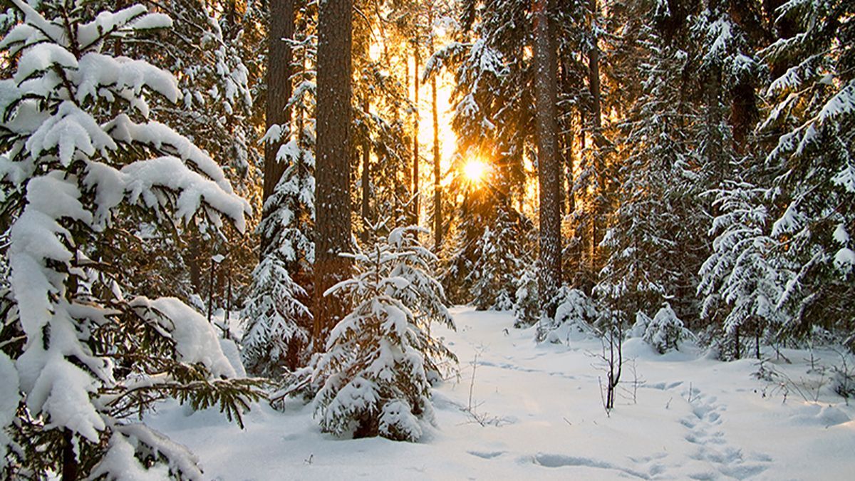 Погода 7 февраля 2019 Украина - прогноз погоды от синоптика Погода 7 февраля 2019 Украина - прогноз погоды от синоптика