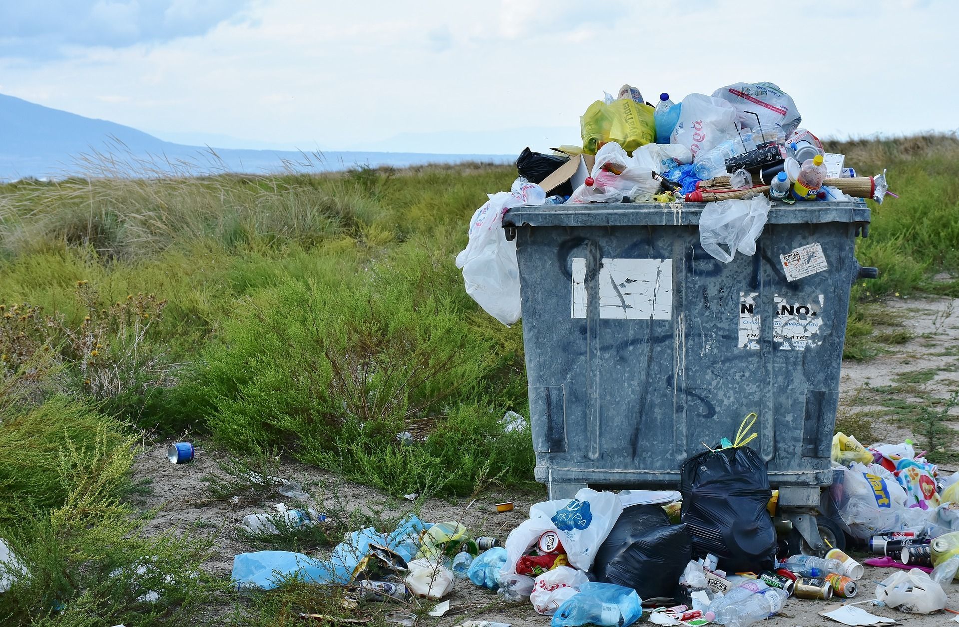 Гроші зі сміття: як на нелегальних сміттєзвалищах роблять бізнес