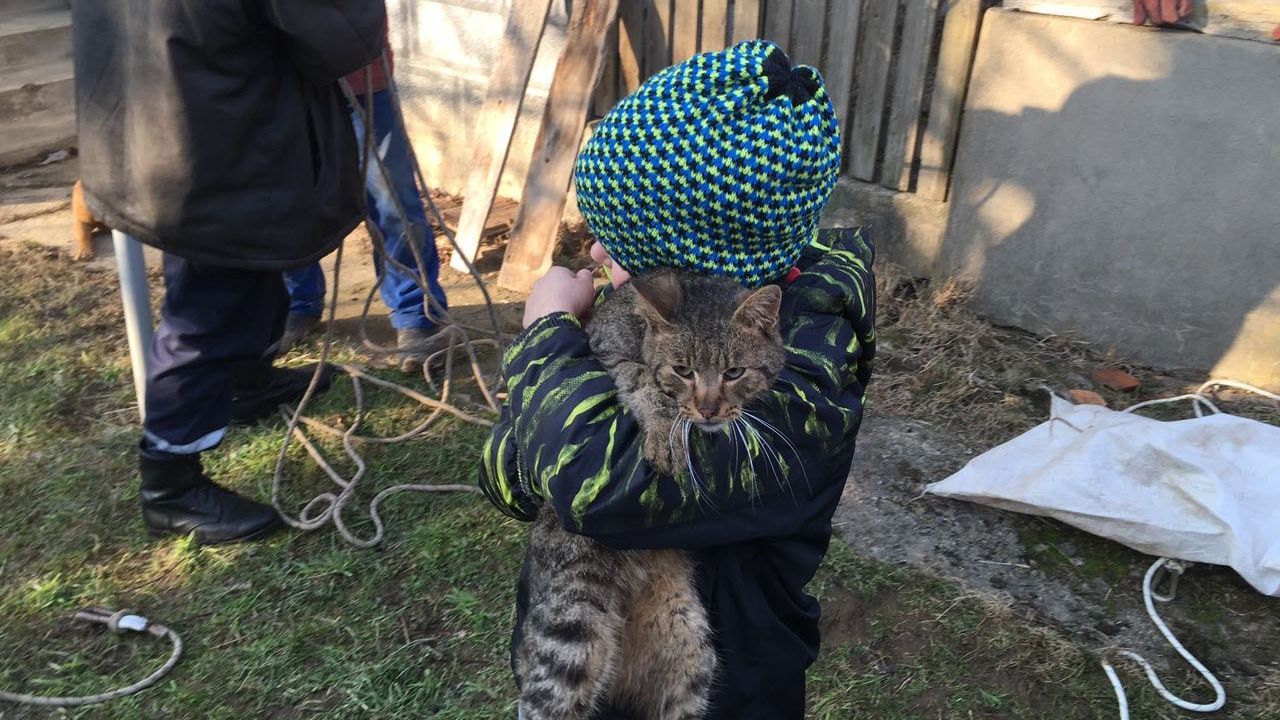 Врятувати Барсіка: ДСНС провела чи не наймилішу операцію Врятувати Барсіка: ДСНС провела чи не наймилішу операцію