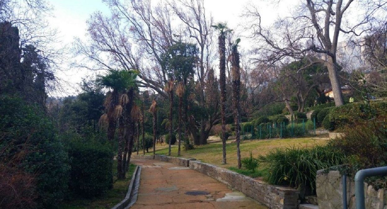 Родзинка окупованого Криму може зникнути назавжди: відомо про проблеми в Алупкинському парку Родзинка окупованого Криму може зникнути назавжди: відомо про проблеми в Алупкинському парку