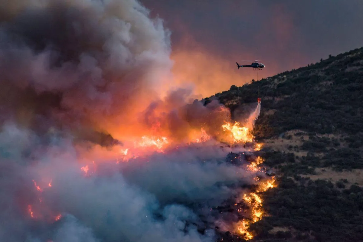 Лісова пожежа у Новій Зеландії