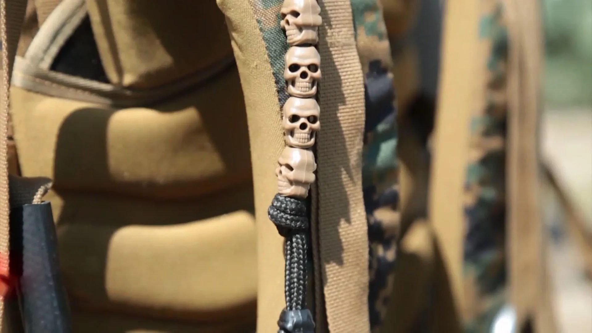 крокомір крокомір