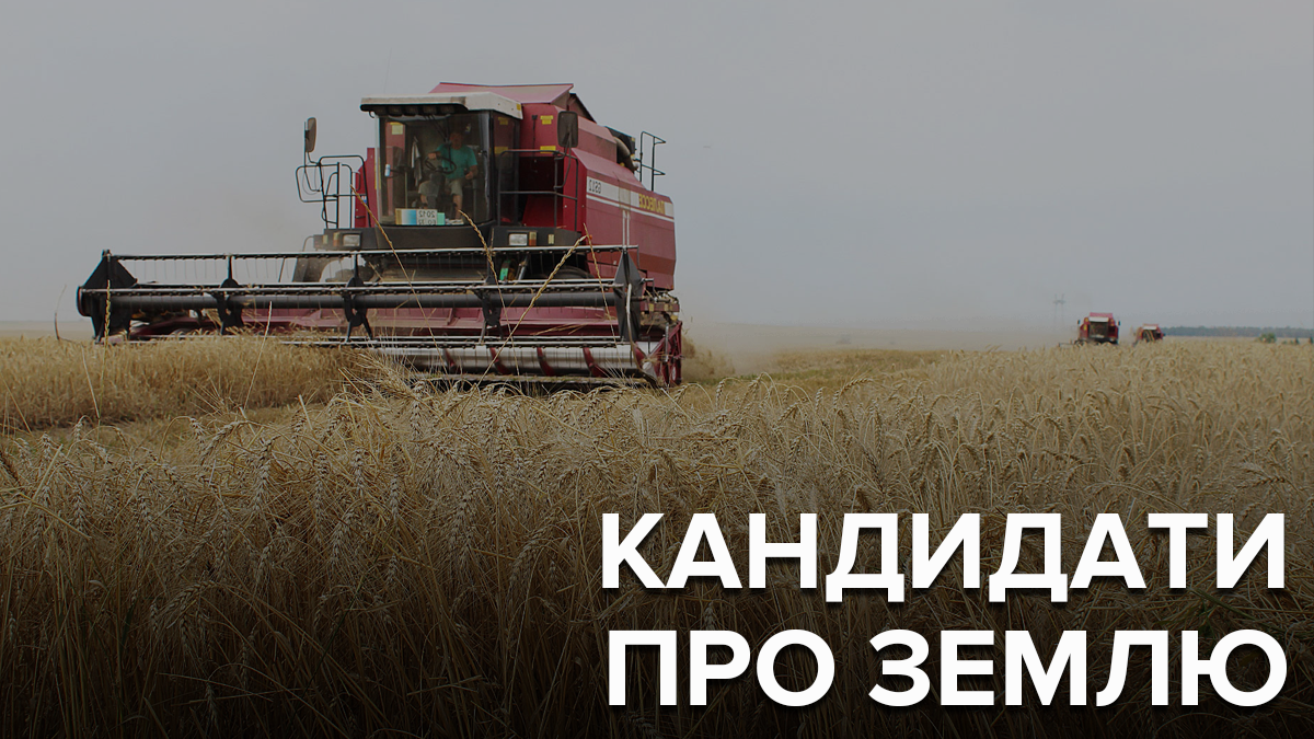 Земля и рынок: что предлагают кандидаты в президенты Земля и рынок: что предлагают кандидаты в президенты