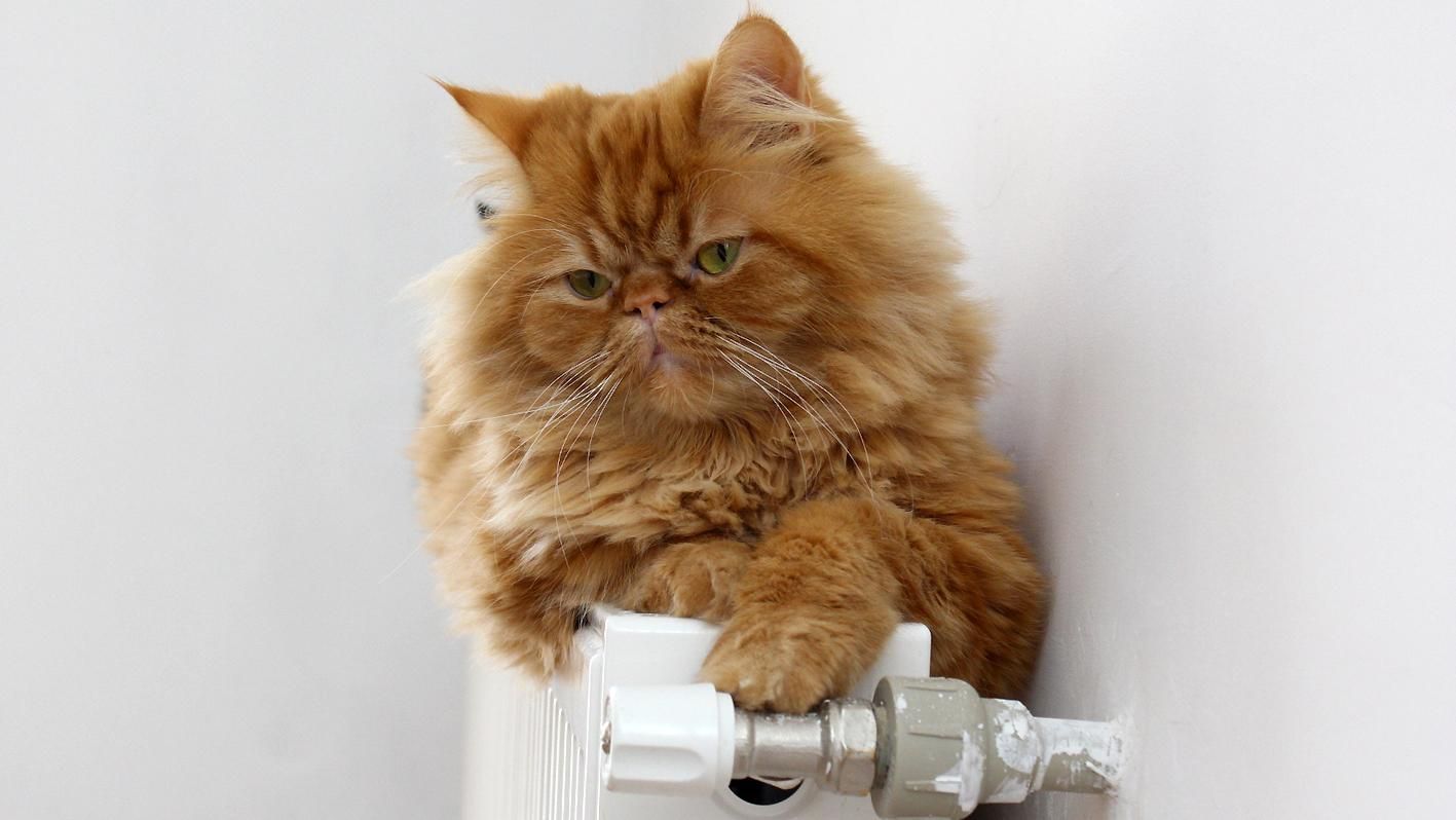 Частина Києва залишилась без тепла та гарячої води через аварію Частина Києва залишилась без тепла та гарячої води через аварію