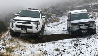 Аномальные морозы в США: Гавайи неожиданно засыпало снегом (фото, видео)