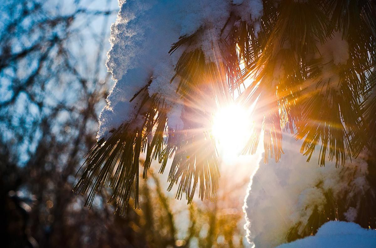 Погода 13 февраля 2019 Украина - прогноз погоды синоптика Погода 13 февраля 2019 Украина - прогноз погоды синоптика