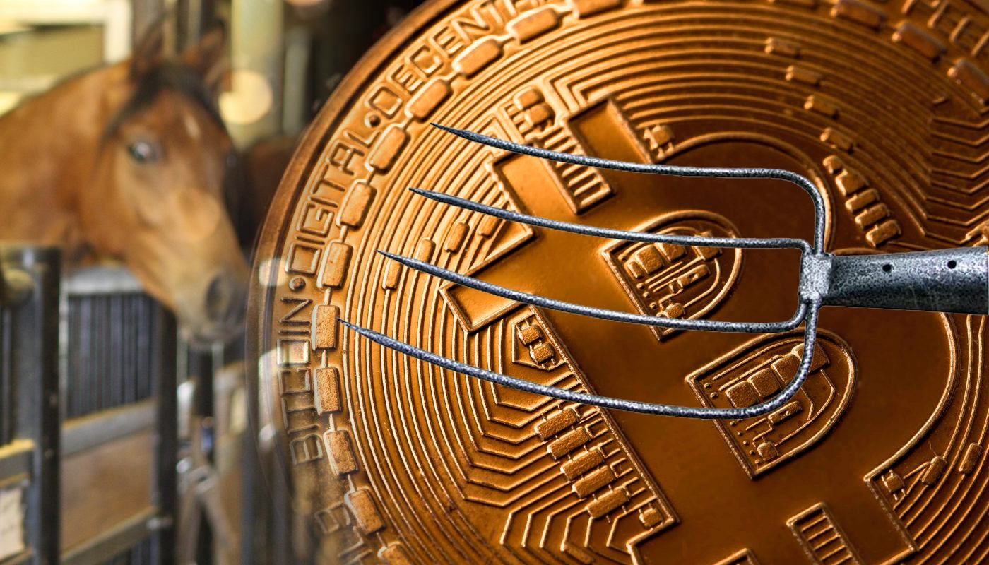 Біткойни, конюшня, вила: родзинки декларацій кандидатів у президенти 2019 Біткойни, конюшня, вила: родзинки декларацій кандидатів у президенти 2019