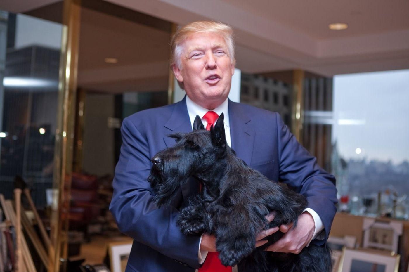 Порушив традицію Білого дому: чому в Трампа немає домашніх улюбленців Порушив традицію Білого дому: чому в Трампа немає домашніх улюбленців