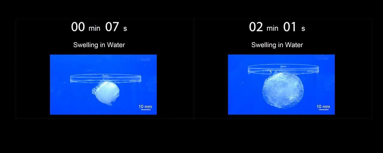 Надувна пігулка може збільшуватися у 100 разів Надувна пігулка може збільшуватися у 100 разів