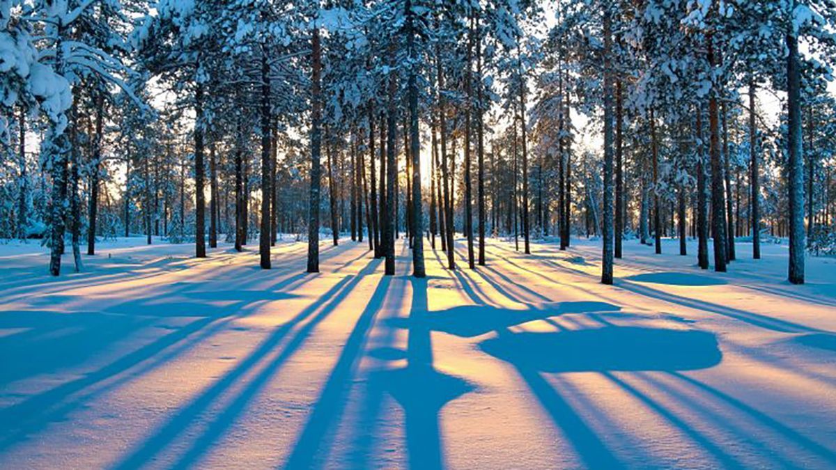 Погода 14 февраля 2019 Украина - прогноз погоды от синоптика Погода 14 февраля 2019 Украина - прогноз погоды от синоптика