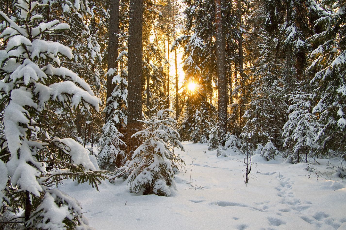 Погода 15 февраля 2019 Украина: какую погоду обещают синоптики на Сретение 2019