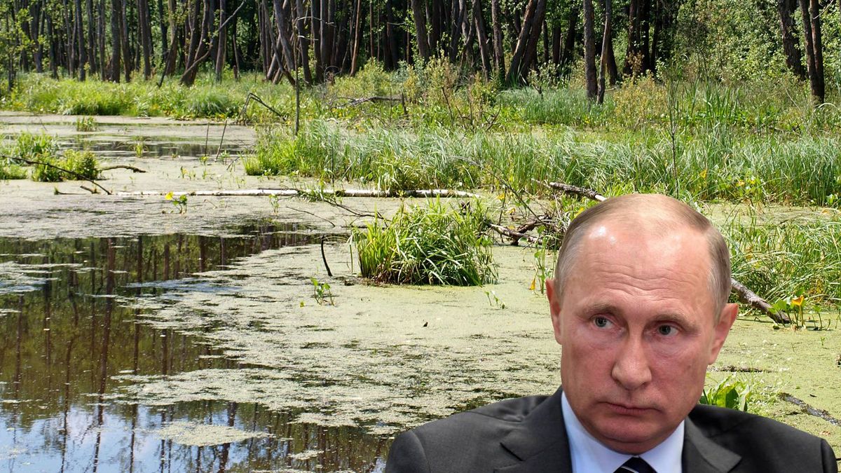 Список страхов Кремля, или Эпоха Путина как адское чумное болото