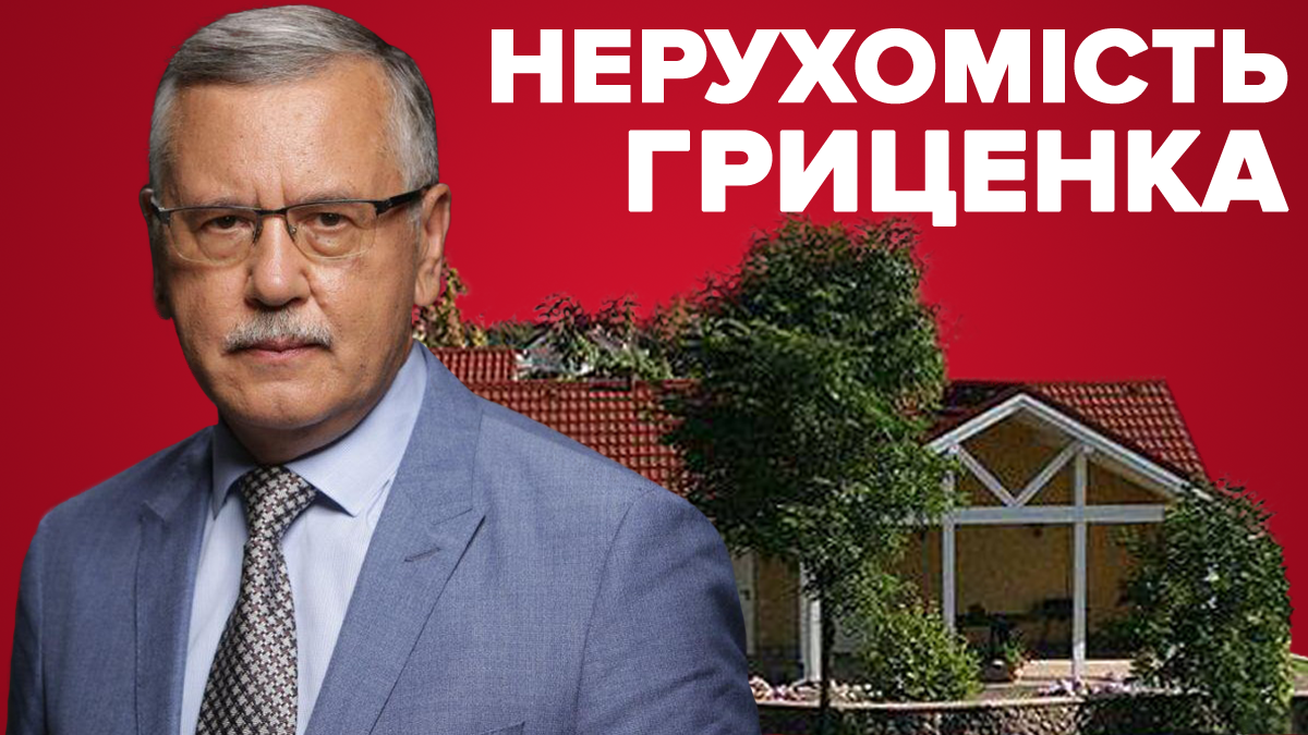 Нерухомість Анатолія Гриценка: що приховує кандидат в Верховну Раду