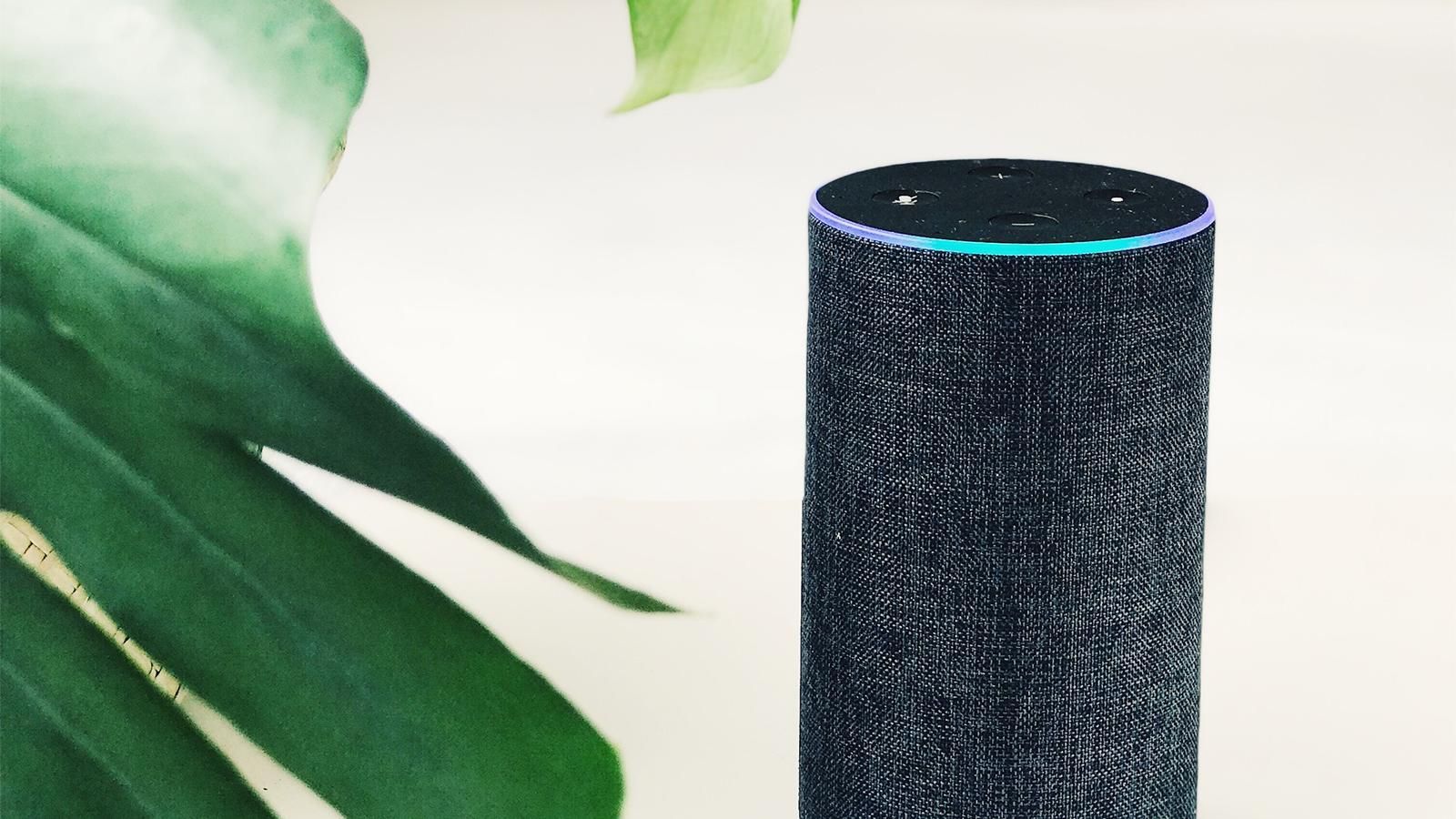 Apple приобрела стартап по разработке приложений для голосовых помощников Apple приобрела стартап по разработке приложений для голосовых помощников