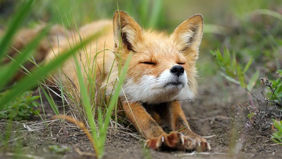 Погода 25 лютого 2019 Україна - прогноз погоди від синоптика Погода 25 лютого 2019 Україна - прогноз погоди від синоптика