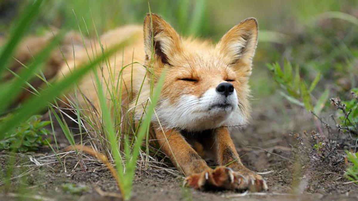 Погода 25 февраля 2019 Украина - прогноз погоды от синоптика