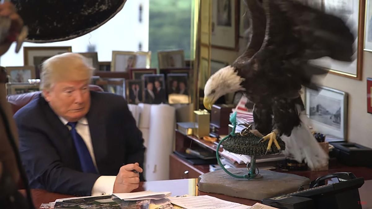 Птицы против Трампа: забавное видео, где природа противостоит президенту США