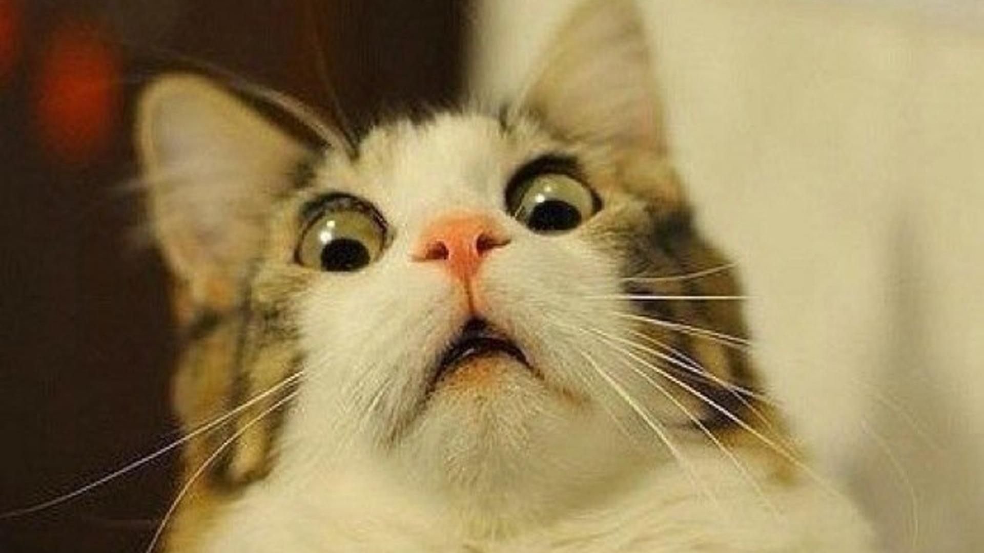 Погода 27 февраля 2019 Украина - прогноз погоды синоптика Погода 27 февраля 2019 Украина - прогноз погоды синоптика