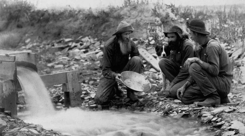 Золота лихоманка Золота лихоманка