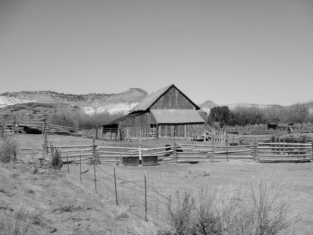 Ферми на Дикому Заході Ферми на Дикому Заході