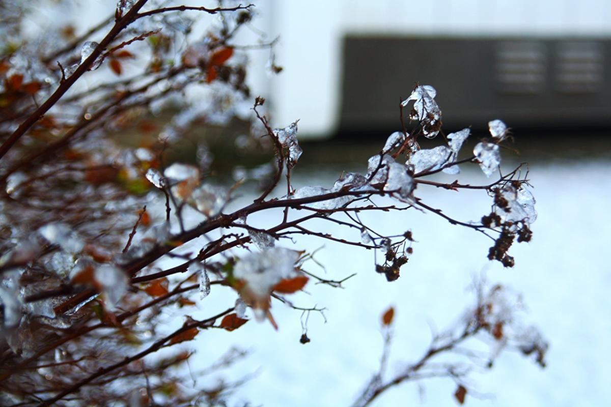 Погода 28 февраля 2019 Украина - прогноз погоды от синоптика