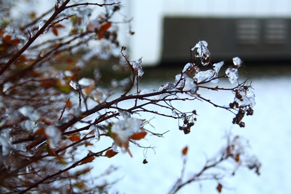 Погода 28 февраля 2019 Украина - прогноз погоды от синоптика Погода 28 февраля 2019 Украина - прогноз погоды от синоптика