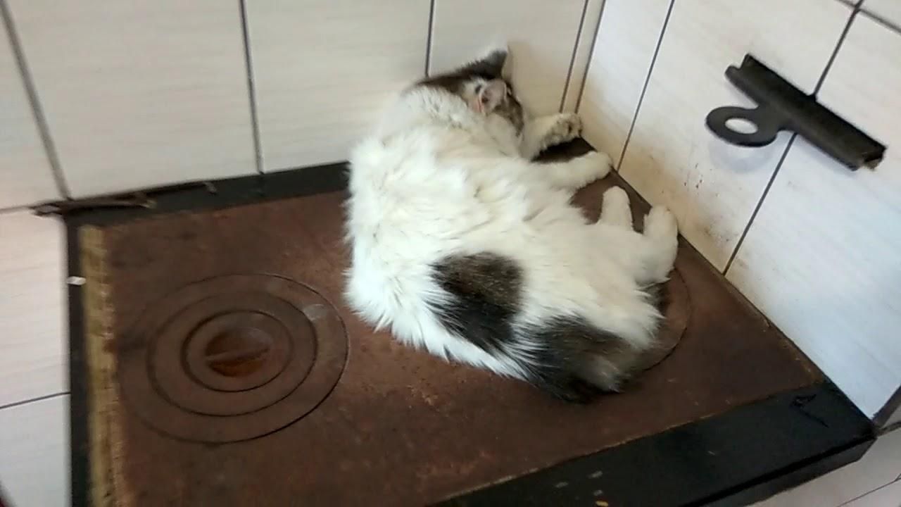 Индивидуальное отопление станет невыгодным, – эксперт о газовых перспективах для украинцев Индивидуальное отопление станет невыгодным, – эксперт о газовых перспективах для украинцев