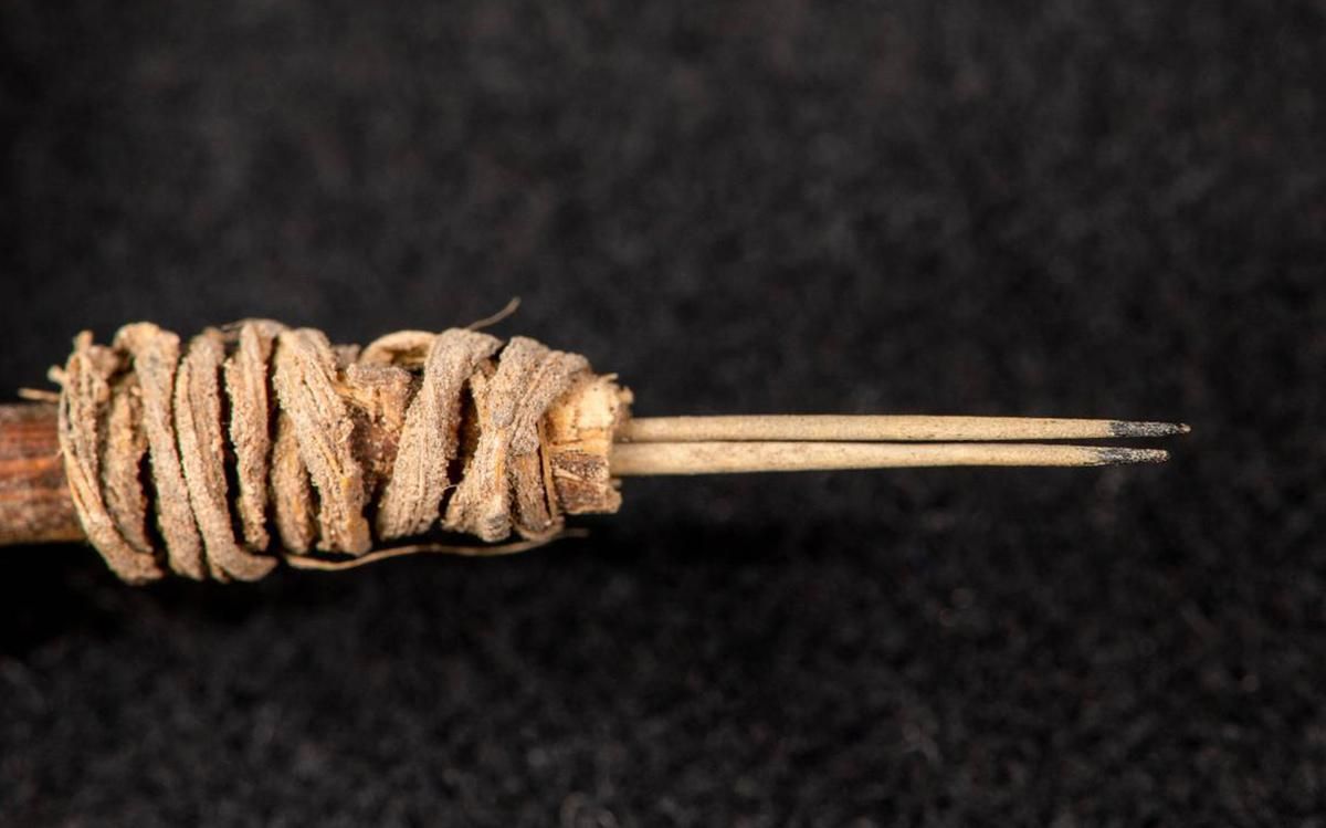 Ученые нашли самый древний инструмент для татуировки: фото Ученые нашли самый древний инструмент для татуировки: фото