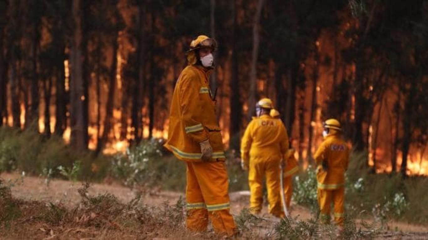 В Австралии горит национальный парк, 25 городов в опасности: шокирующие фото