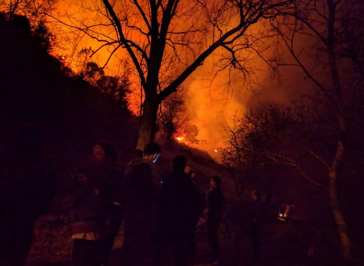 В Испании вспыхнули масштабные лесные пожары: фото и видео