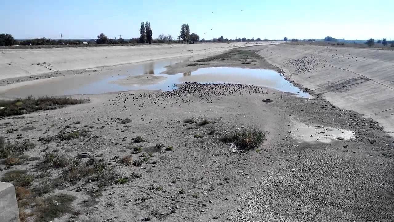 Крым может остаться без питьевой воды: оккупанты говорят, что проблем нет Крым может остаться без питьевой воды: оккупанты говорят, что проблем нет