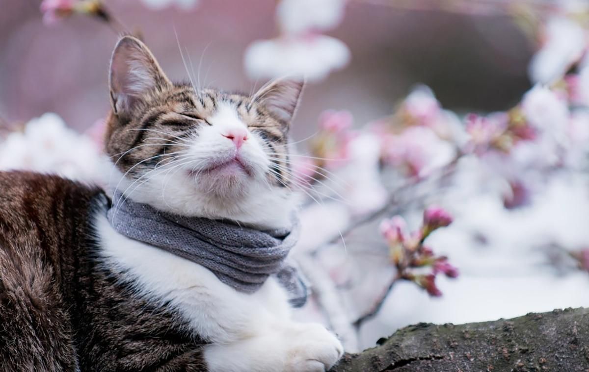 Погода 6 березня 2019 Україна - прогноз погоди від синоптика Погода 6 березня 2019 Україна - прогноз погоди від синоптика