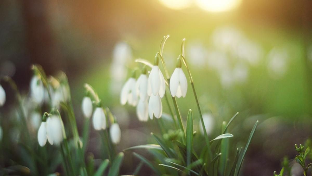 Погода 7 марта 2019 Украина - какую погоду обещает синоптик Погода 7 марта 2019 Украина - какую погоду обещает синоптик