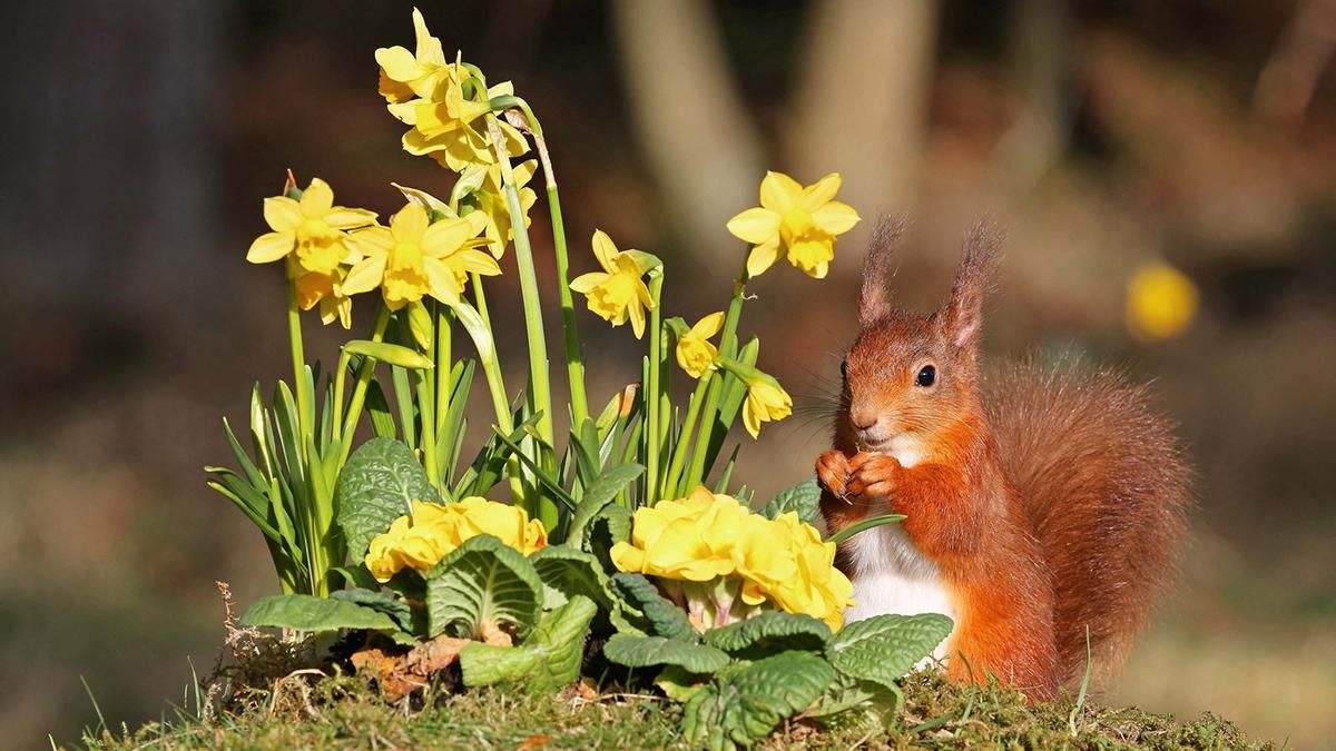 Погода 11 березня 2019 Україна - прогноз погоди від синоптика Погода 11 березня 2019 Україна - прогноз погоди від синоптика