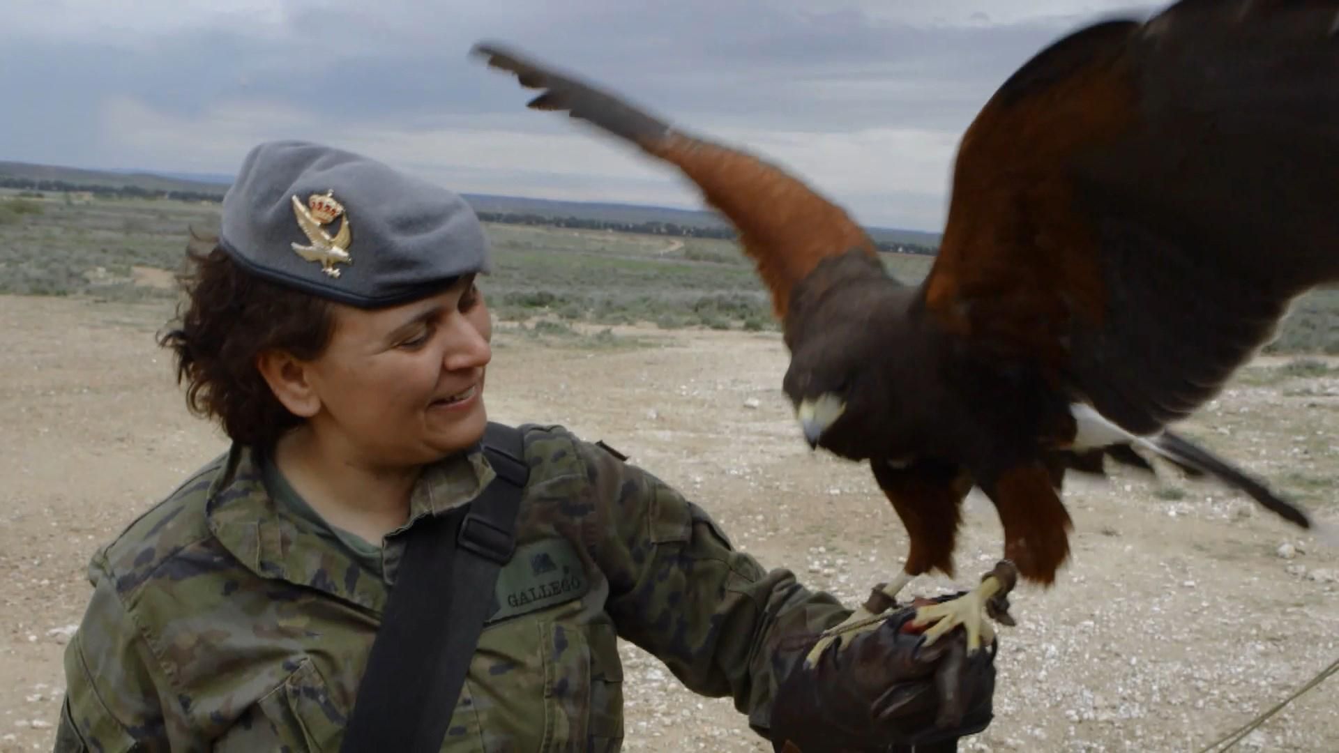 Чем занимаются работники НАТО в свободное время: необычные хобби Чем занимаются работники НАТО в свободное время: необычные хобби
