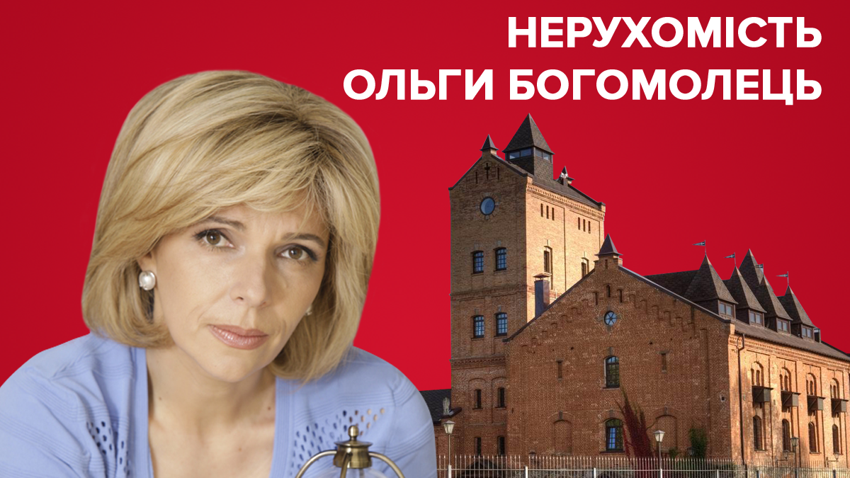 Нерухомість Богомолець - все про маєтки кандидатки в президенти України 2019