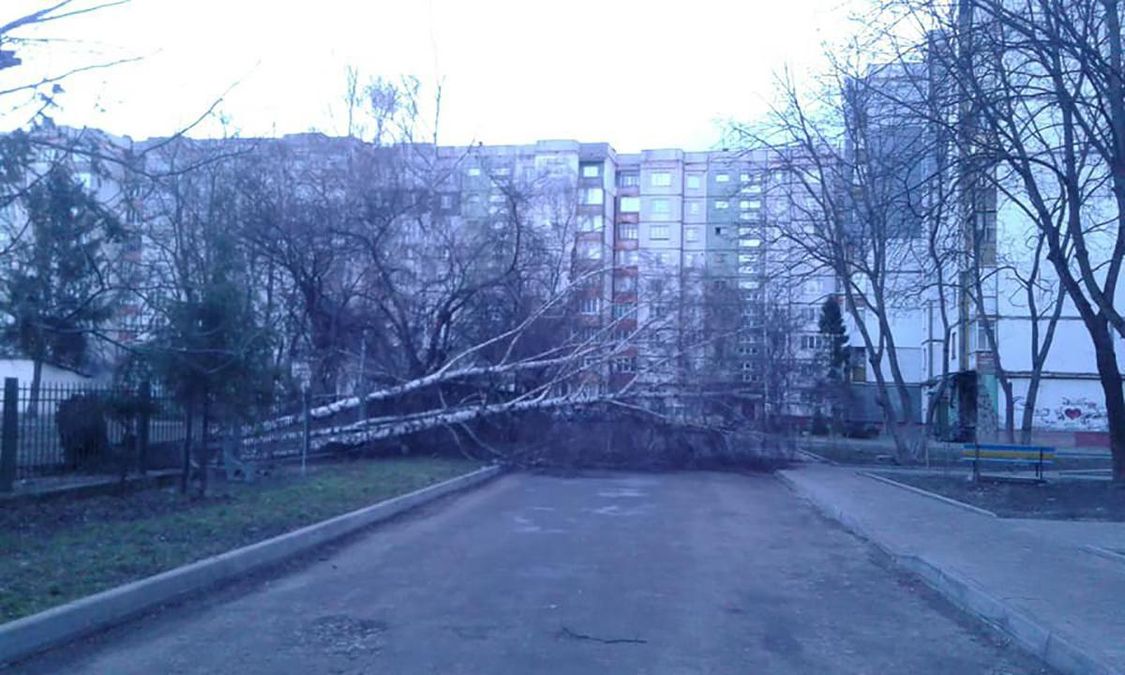 Из-за мощных ветров в Украине погиб ребенок: фото последствий непогоды