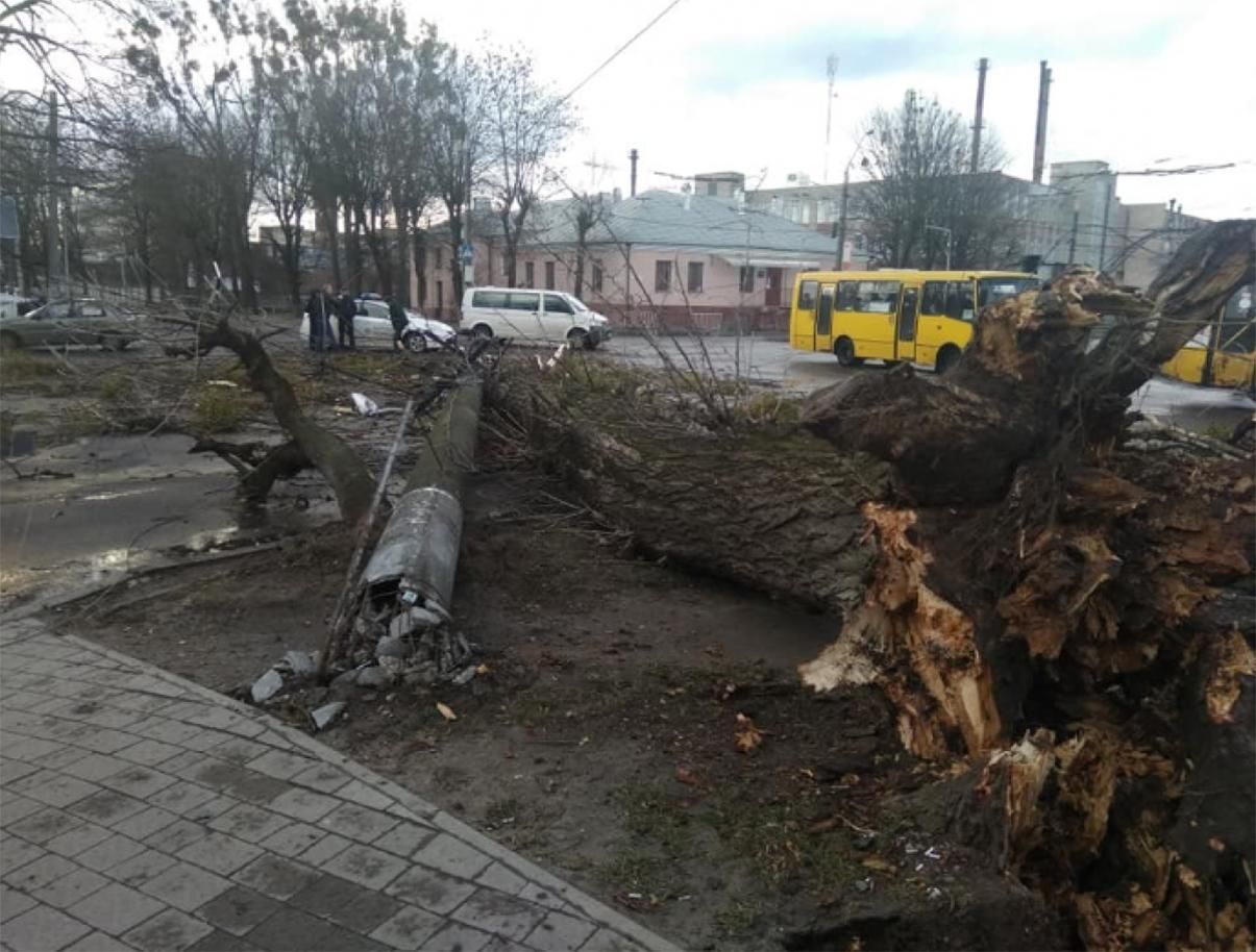 Непогода не утихает: спасатели предупреждают о сильном ветре на Львовщине