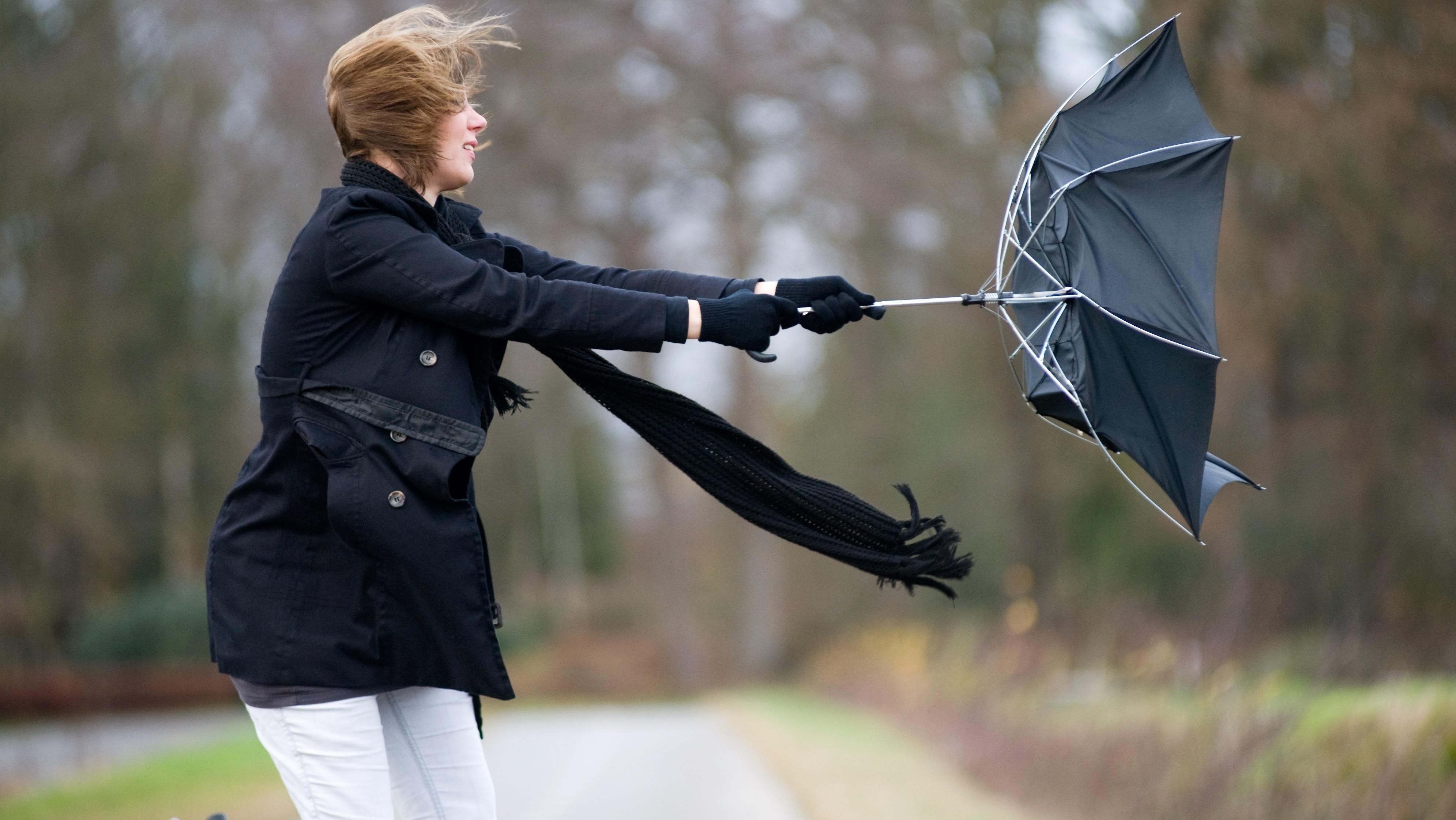 Как действовать во время сильного ветра: основные правила